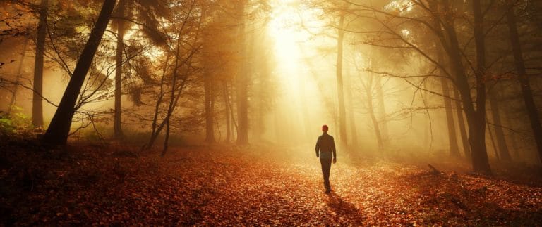 pituitary gland injury